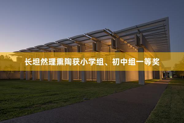 长坦然理熏陶获小学组、初中组一等奖