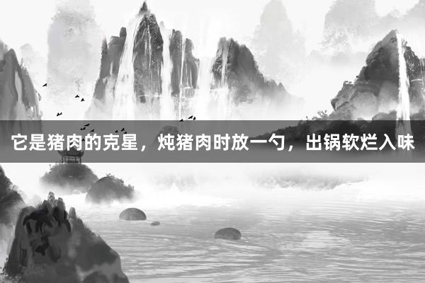 它是猪肉的克星，炖猪肉时放一勺，出锅软烂入味