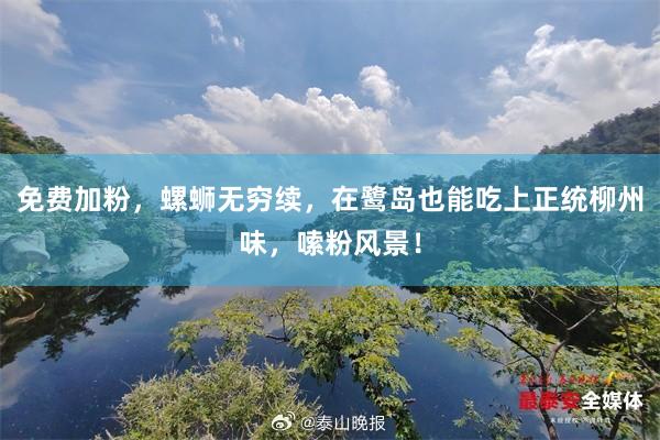 免费加粉，螺蛳无穷续，在鹭岛也能吃上正统柳州味，嗦粉风景！