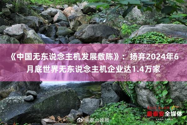 《中国无东说念主机发展敷陈》：扬弃2024年6月底世界无东说念主机企业达1.4万家