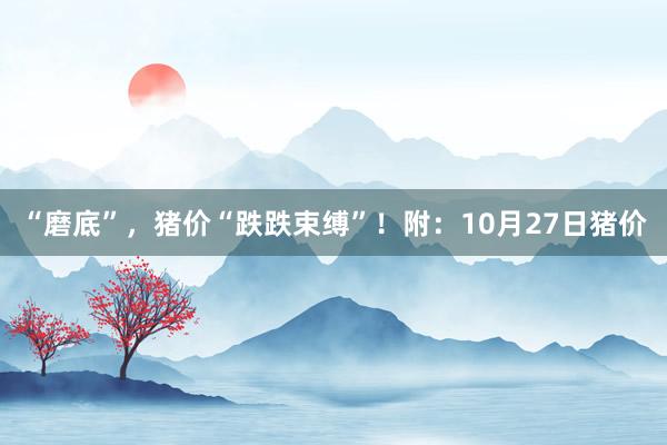 “磨底”，猪价“跌跌束缚”！附：10月27日猪价