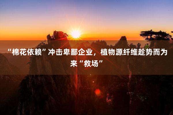 “棉花依赖”冲击卑鄙企业，植物源纤维趁势而为来“救场”