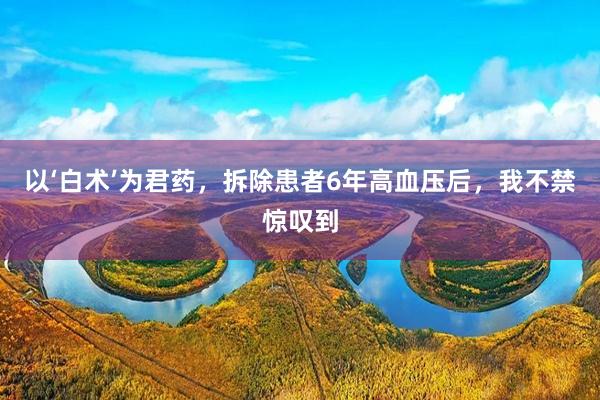 以‘白术’为君药,拆除患者6年高血压后,我不禁惊叹到