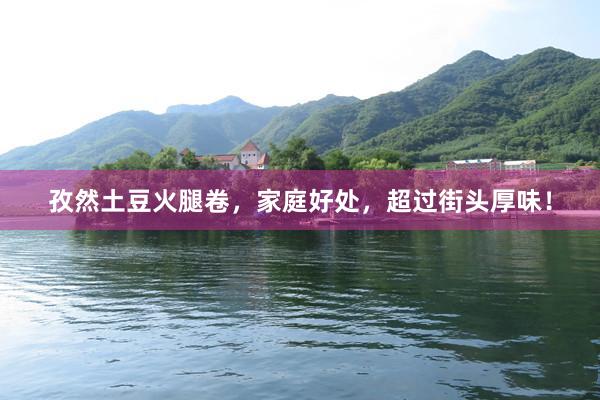 孜然土豆火腿卷，家庭好处，超过街头厚味！