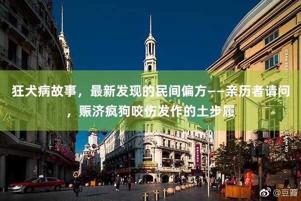 狂犬病故事，最新发现的民间偏方——亲历者请问，赈济疯狗咬伤发作的土步履