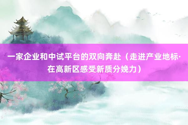 一家企业和中试平台的双向奔赴（走进产业地标·在高新区感受新质分娩力）