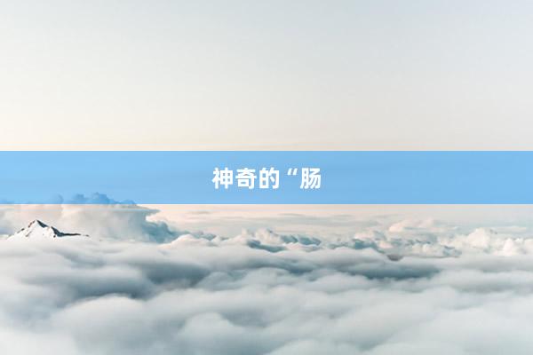 神奇的“肠