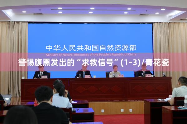 警惕腹黑发出的“求救信号”(1-3)/青花瓷