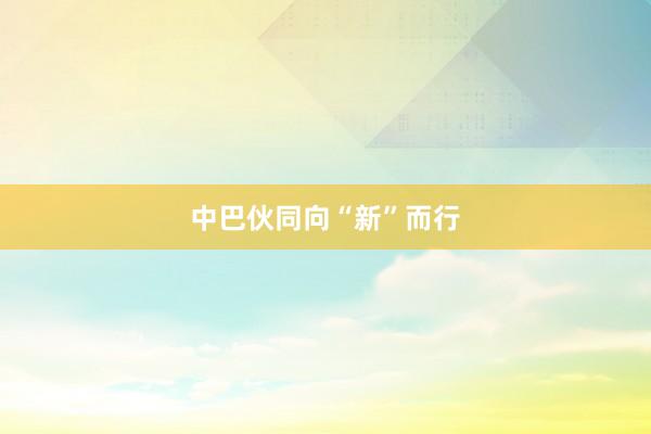 中巴伙同向“新”而行