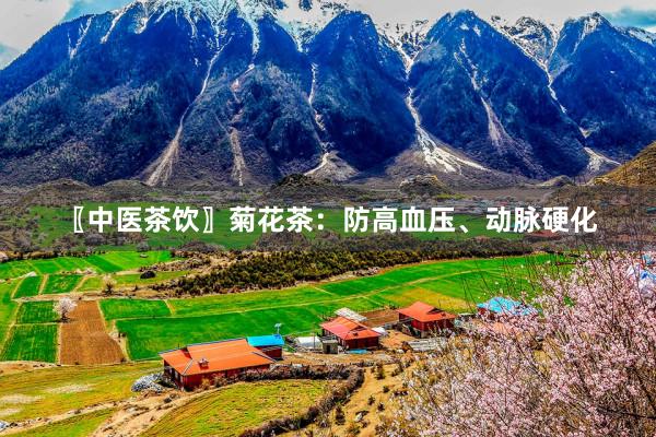 〖中医茶饮〗菊花茶：防高血压、动脉硬化