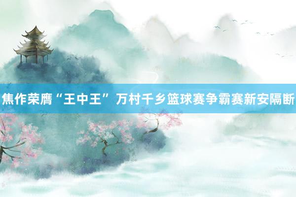 焦作荣膺“王中王” 万村千乡篮球赛争霸赛新安隔断