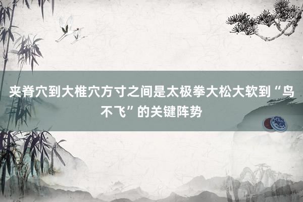 夹脊穴到大椎穴方寸之间是太极拳大松大软到“鸟不飞”的关键阵势
