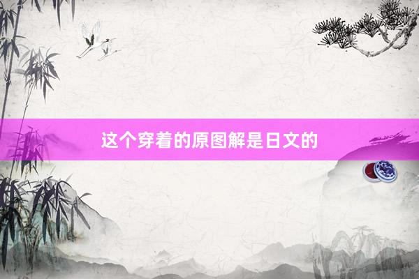 这个穿着的原图解是日文的